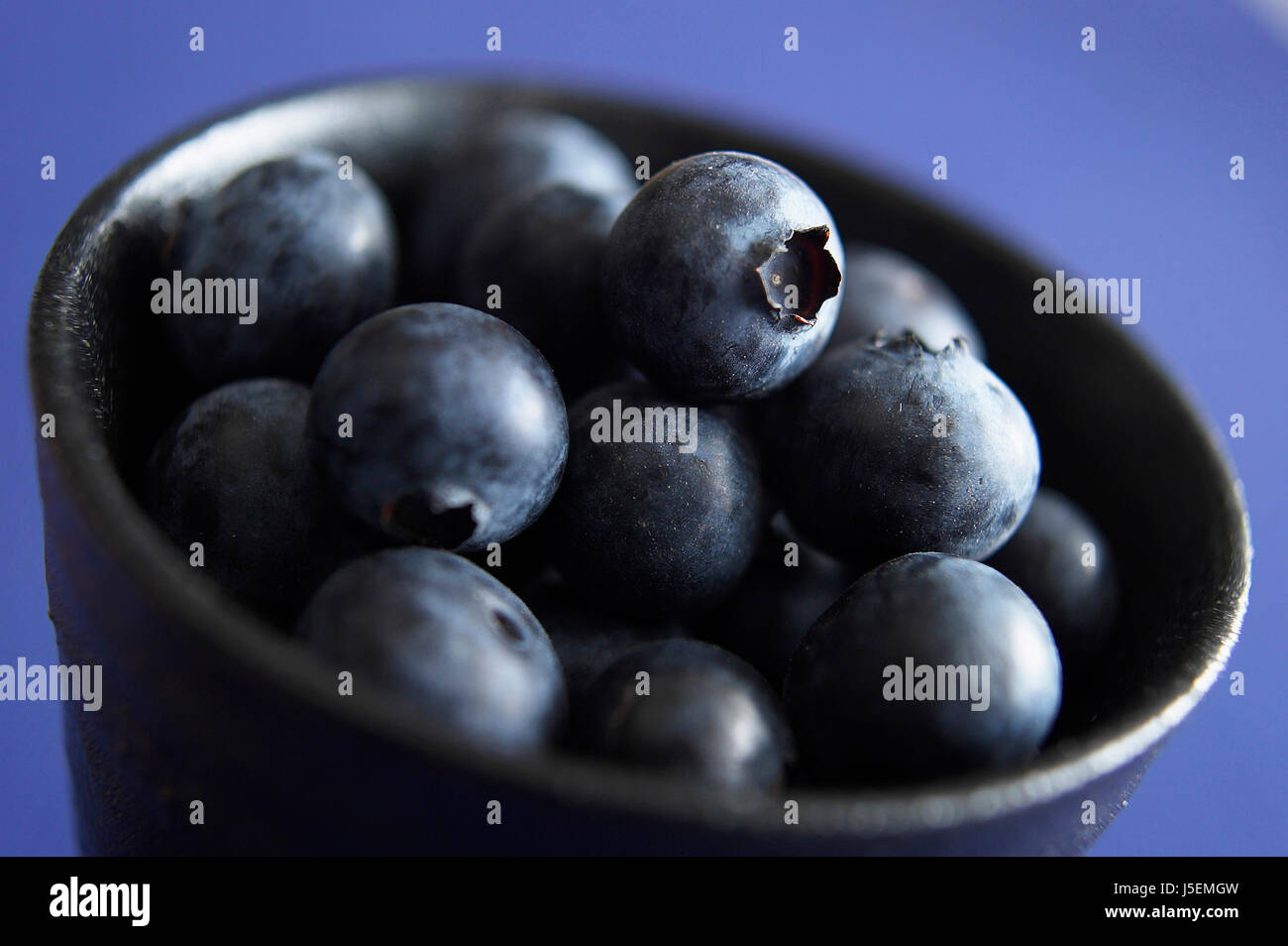 Heidelbeere, Vaccinium Corymbosum, schwarz gefärbten Früchte in eine Schüssel geben. Stockfoto