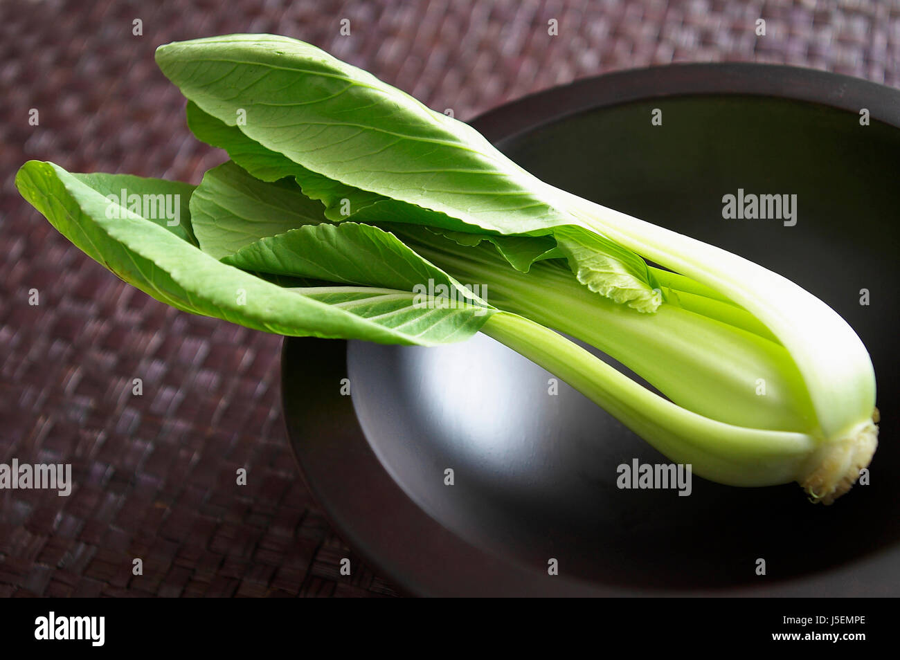 Chinesische Blatt, Pe-Tsai Brassica Pekinensis, Studioaufnahme des grün gefärbten Vegatable in Schüssel geben. Stockfoto