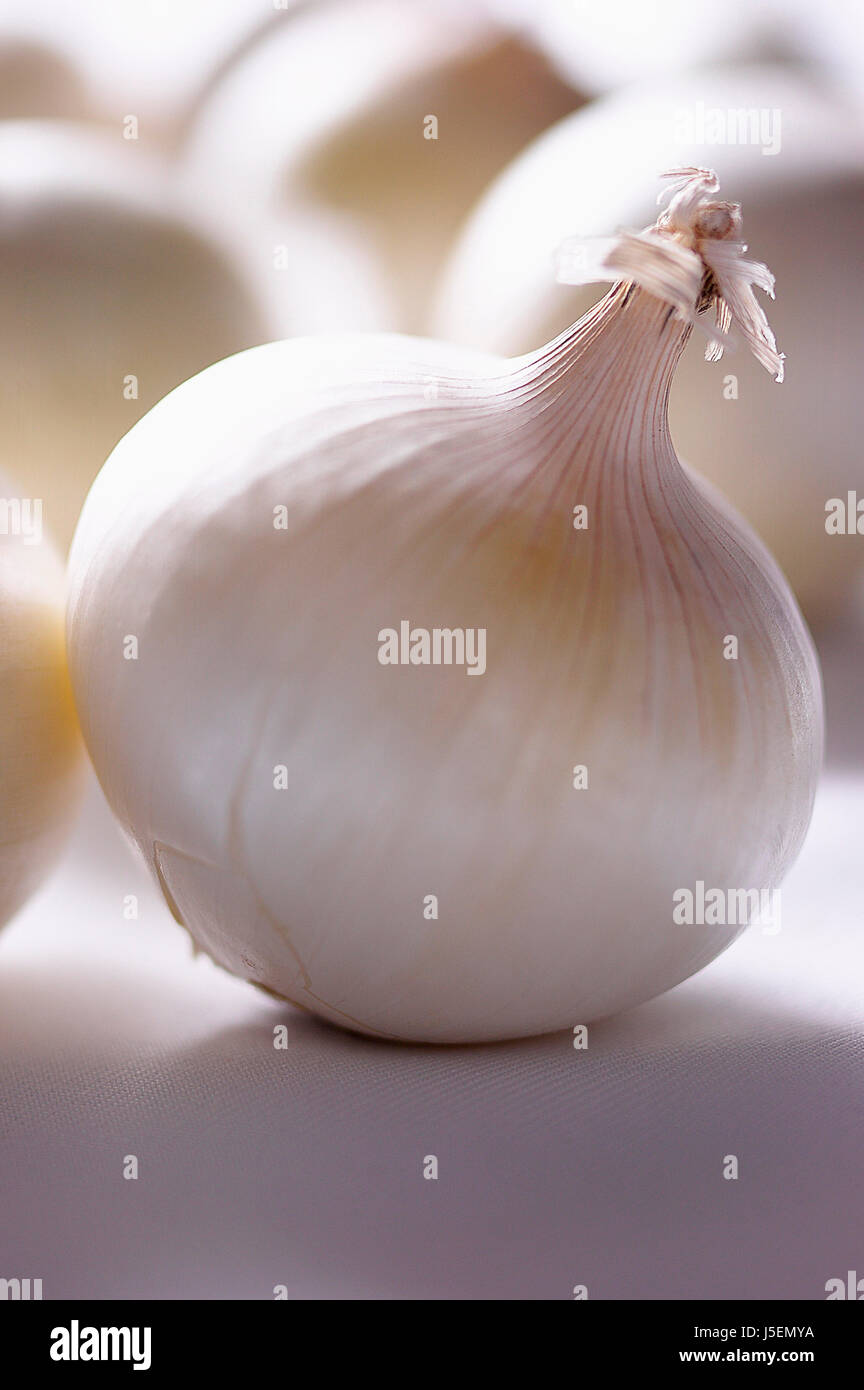 Zwiebel, weiße Zwiebel, Allium Cepa, Studioaufnahme von Gemüse. Stockfoto