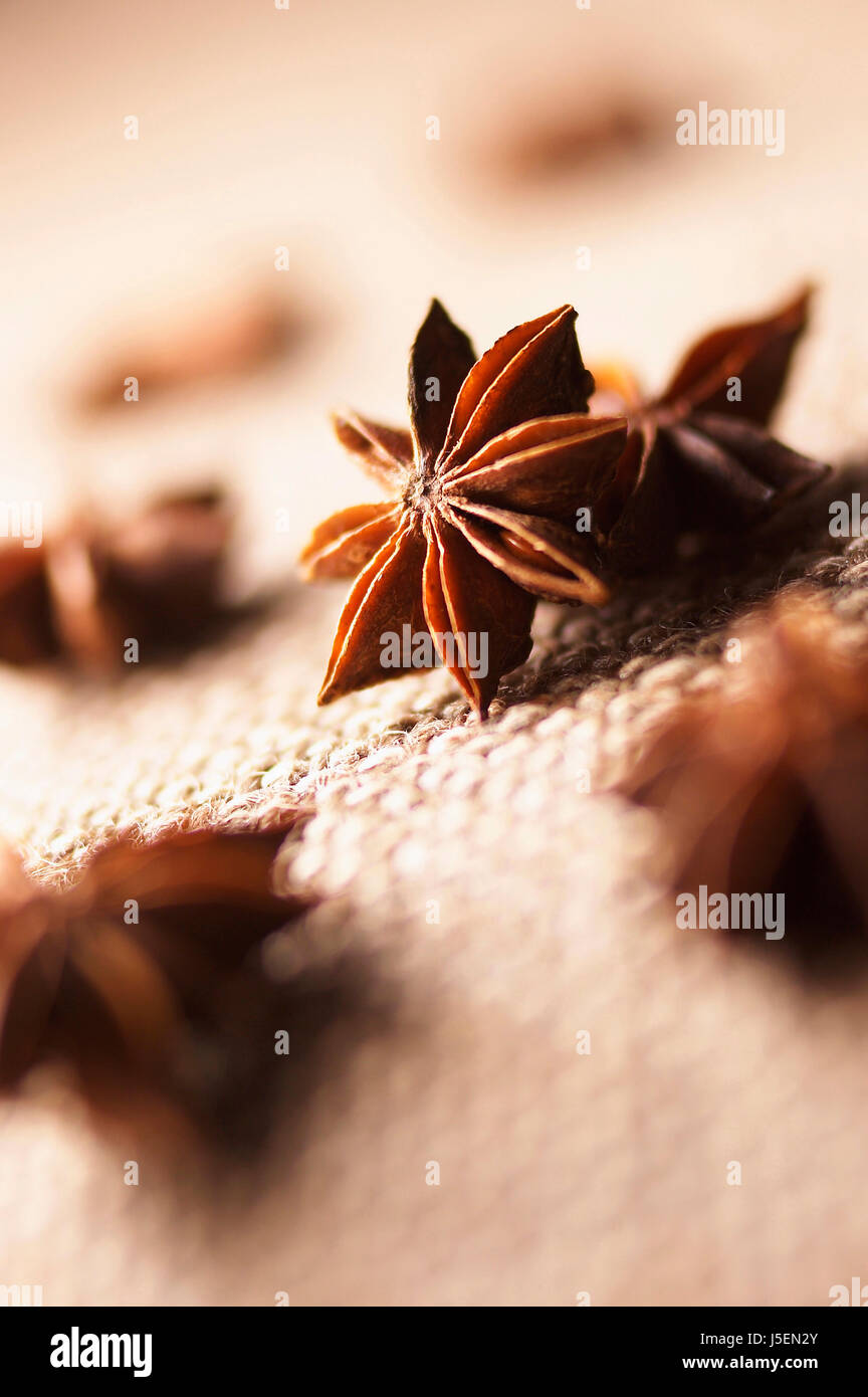 Sternanis, Illicium, Studioaufnahme von braun gefärbten Gewürz. Stockfoto