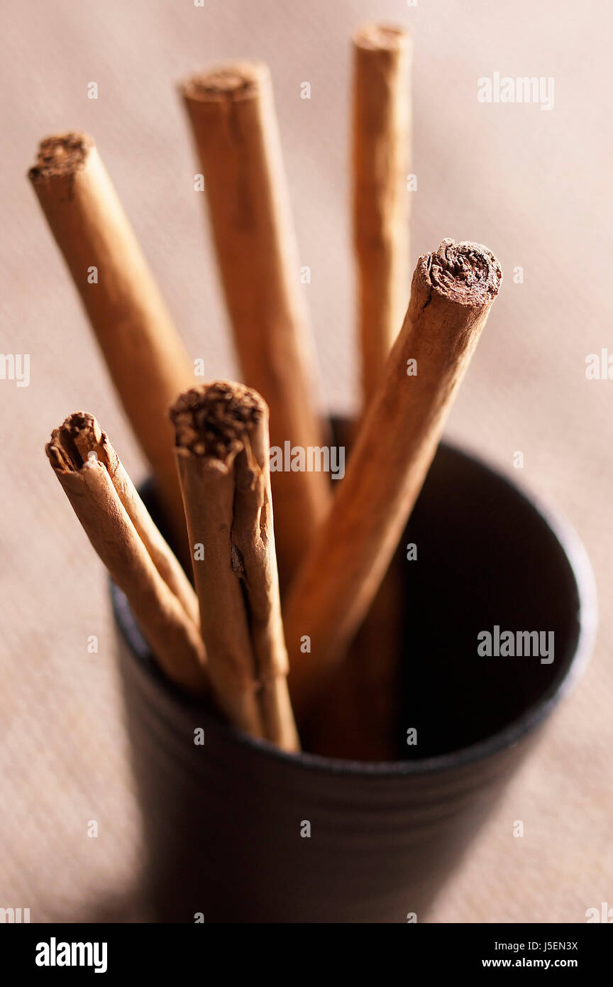 Zimt, Cinnamomum Verum, Studioaufnahme von getrockneten Gewürzen im Cup. Stockfoto