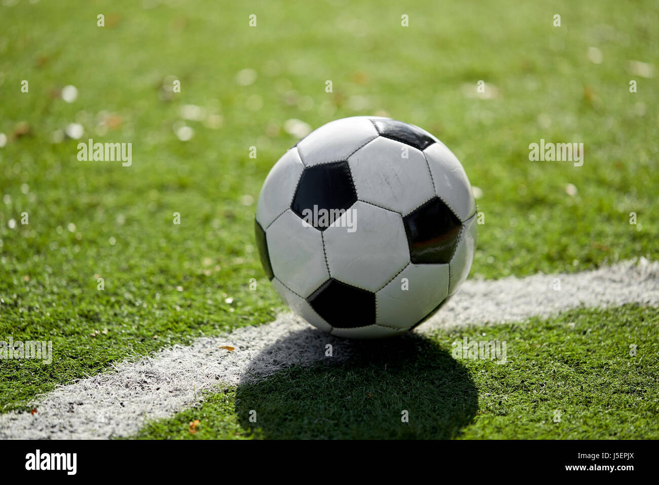 Fußball am Fußballplatz Stockfoto