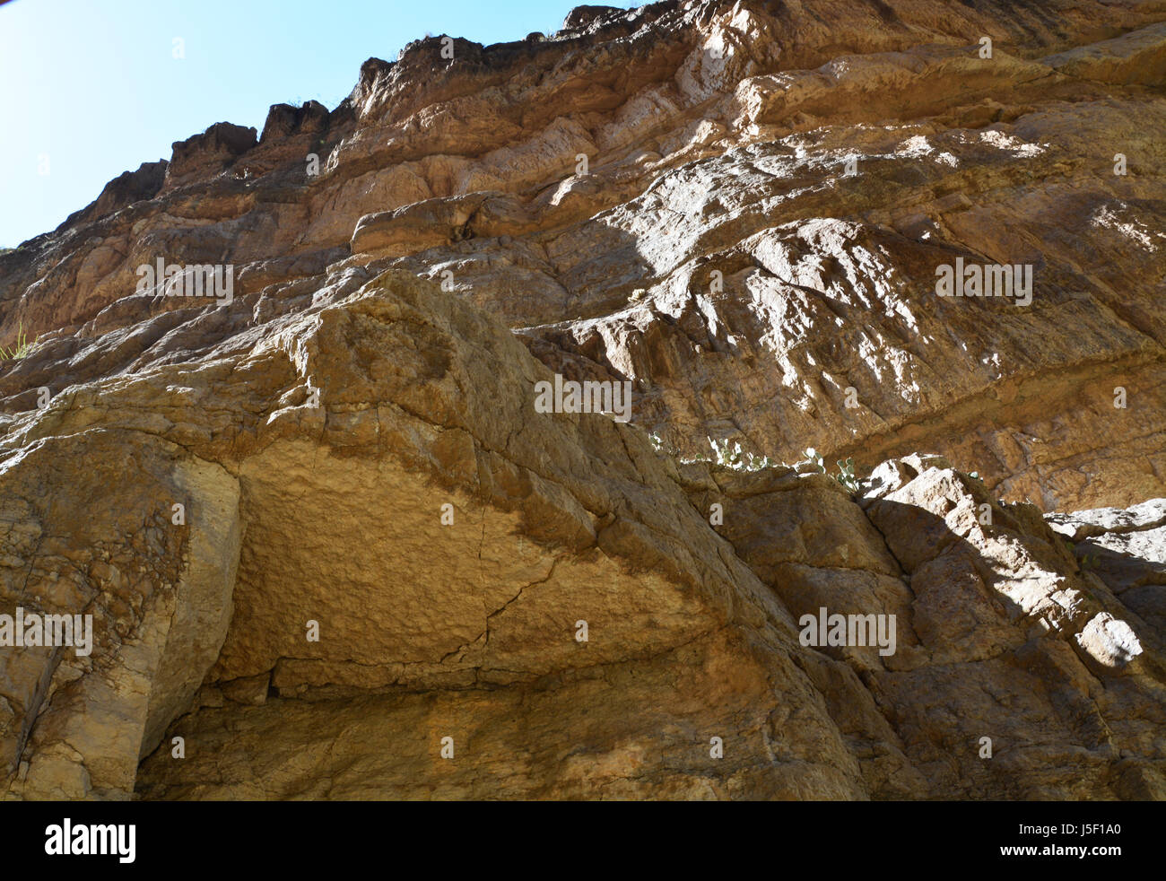 Nachschlagen der Kalksteinwand am Rio Grande in Santa Elena Canyon im Big Bend National Park in Texas Stockfoto