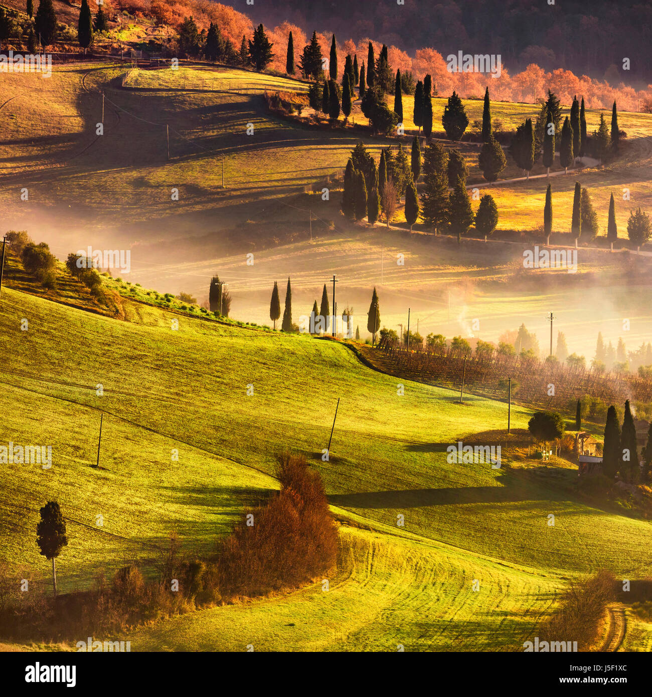 Tuscany nebligen Morgen, grünen Wiesen und Zypresse Bäume Landschaft. Italien, Europa. Stockfoto