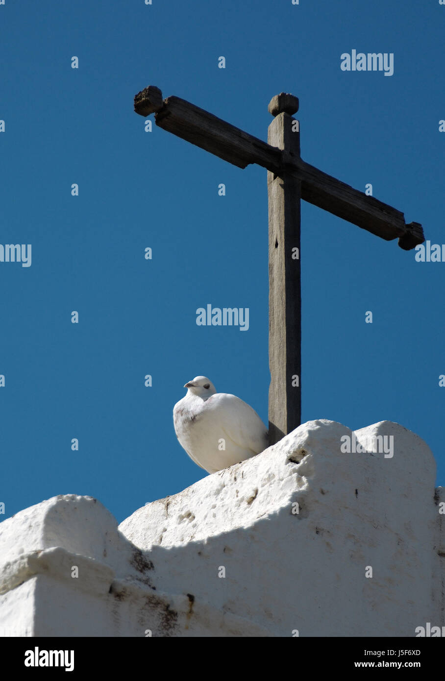 weiße Taube unter Holzkreuz Stockfoto