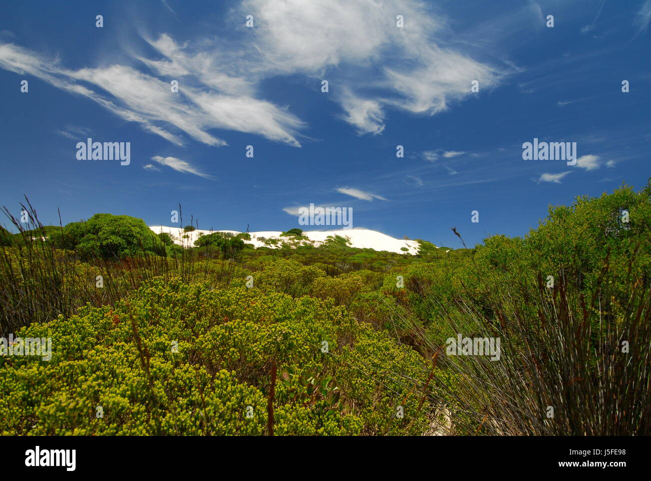 Nationalpark in Südafrika Düne Natur Weisse Dne Blauer Himmel Weisse wolken Stockfoto