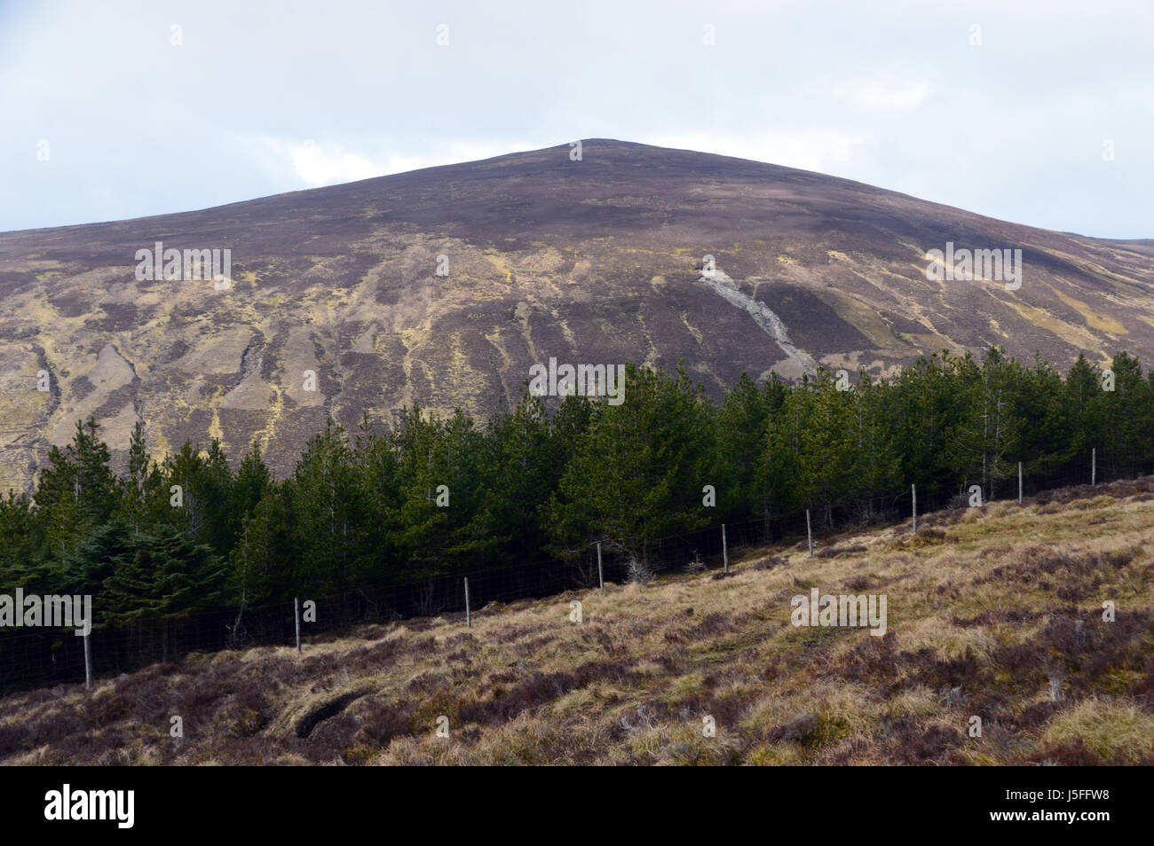 Die schottischen Berge Graham Meall ein "Mhuic aus den westlichen Hängen der Corbett Beinn Dearg in Glen Lyon, Schottisches Hochland, Schottland, Vereinigtes Königreich. Stockfoto