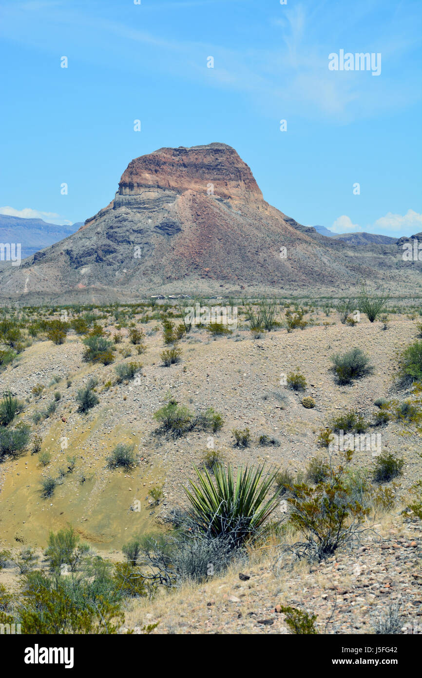 Castolon Peak (Cerro Castellan) schafft eine dramatische Landschaft in der Chihuahua-Wüste Region von Big Bend Nationalpark Stockfoto