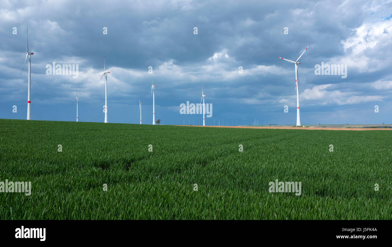 Windkraftanlagen in der Nähe von Bockenheim / Weinstraße, Rheinland-Pfalz, Deutschland Stockfoto