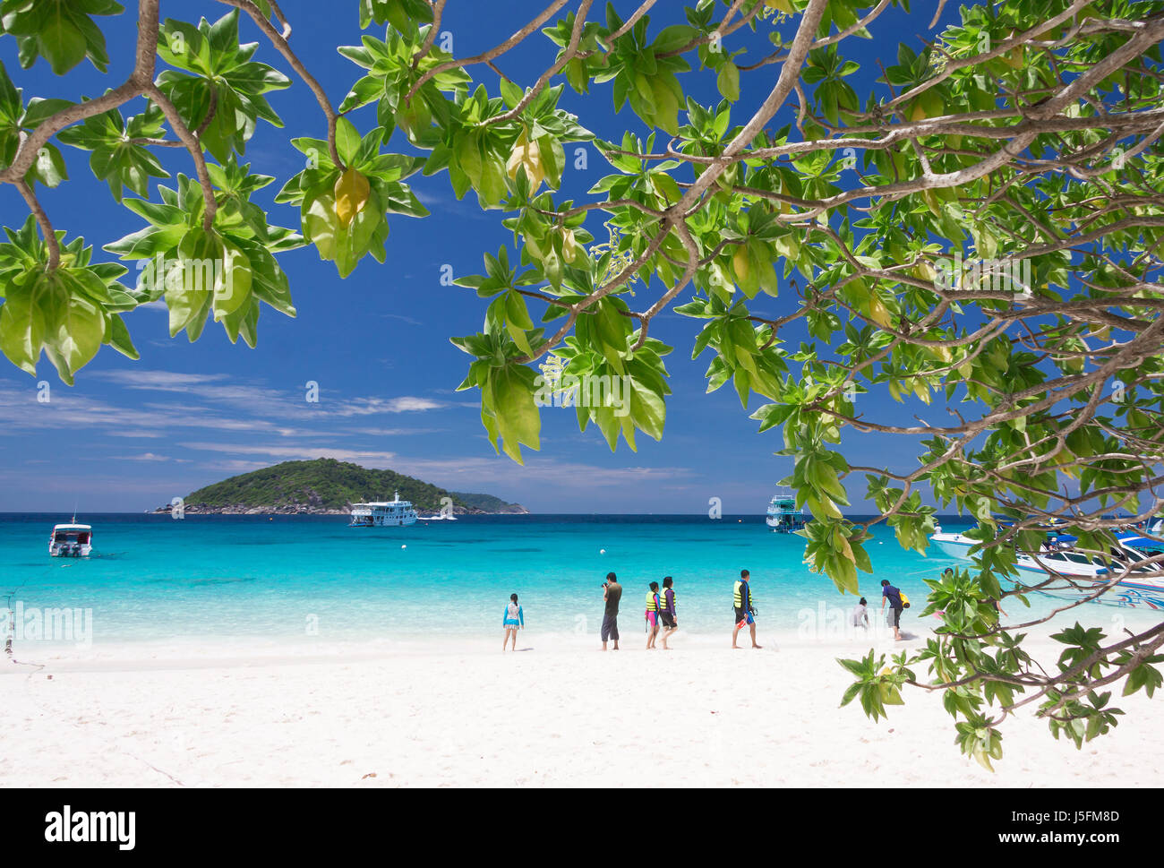 Wunderschönen tropischen Strand auf Similan Island, Thailand Stockfoto