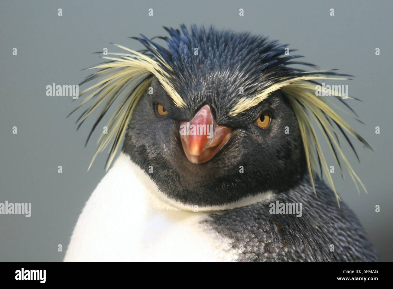 glückliche Füße Stockfoto