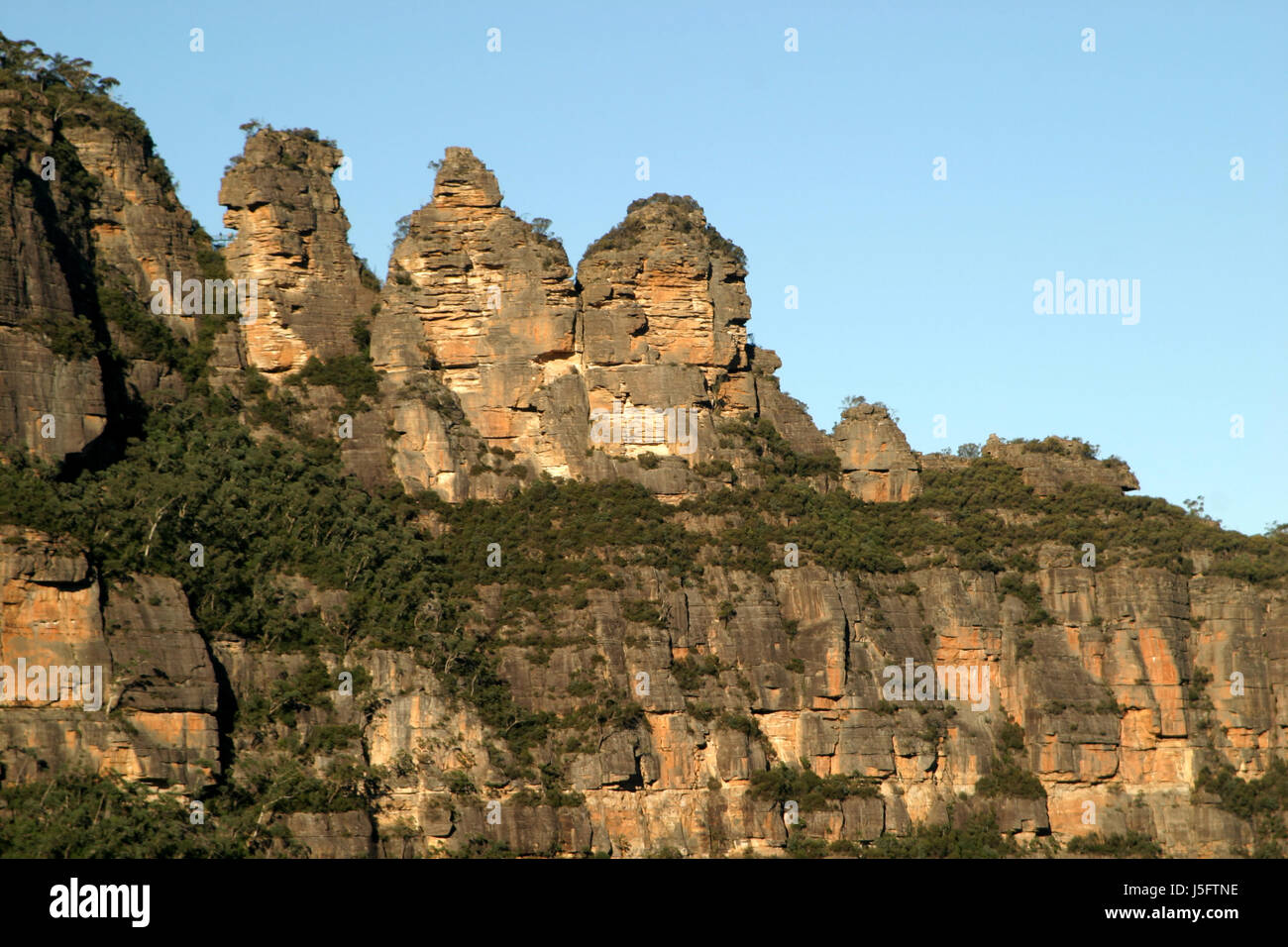 Baum Bäume Berge Pflanze grün Nationalpark Wandern Wandern Wanderung Dunst rock Stockfoto