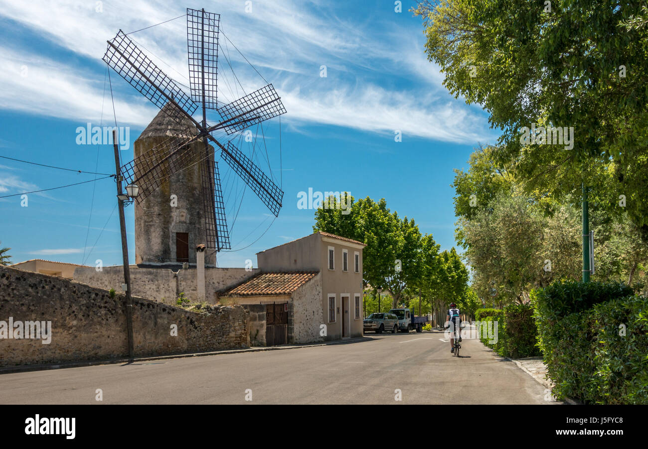 Weibliche Radfahrer person Radfahren durch eine Windmühle in der unberührten und schönen Dorf Llubi, Llubí, Mallorca, Mallorca, Balearen, Spanien Stockfoto