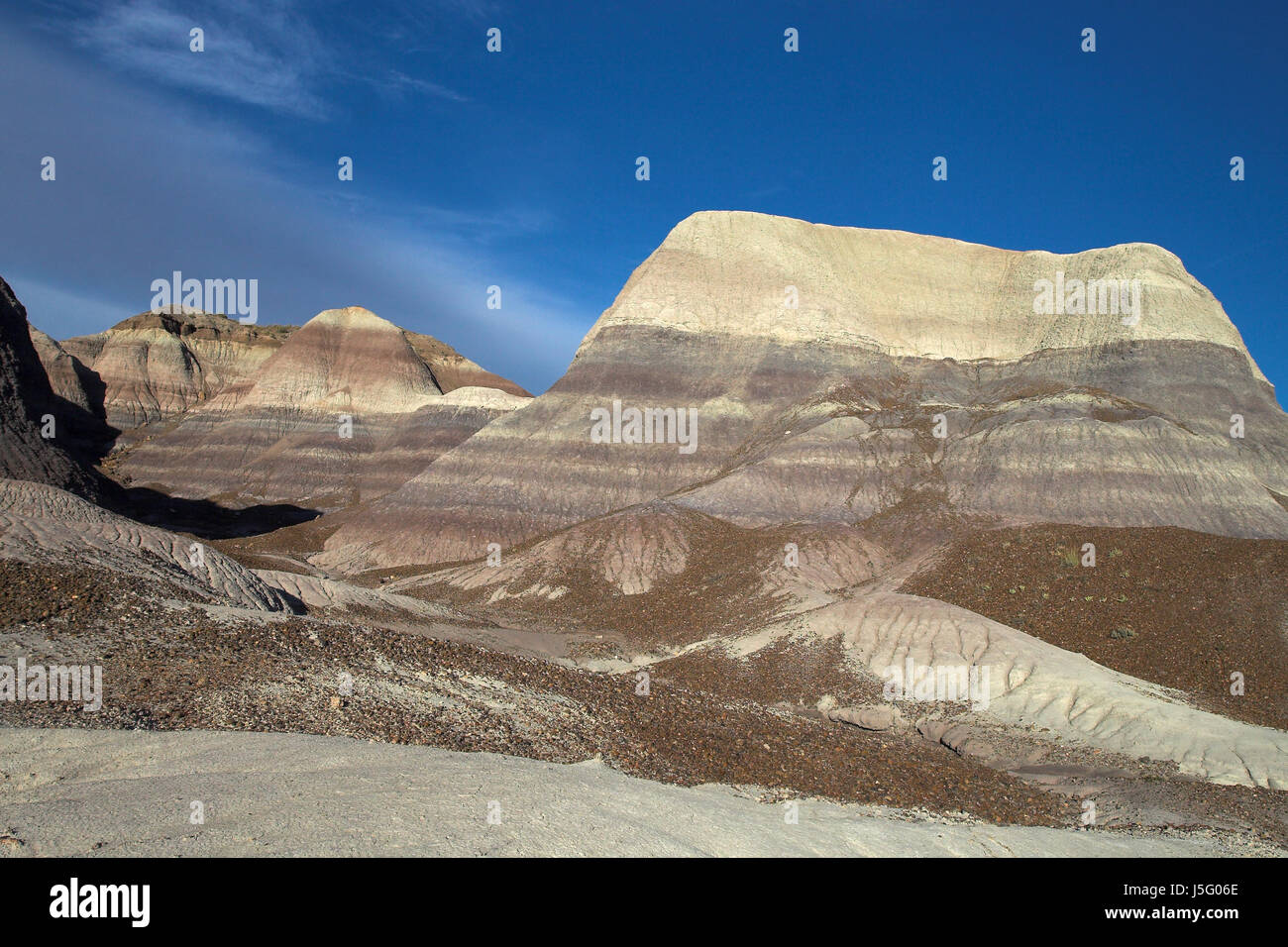 Petrified Forest Nationalpark iv Stockfoto