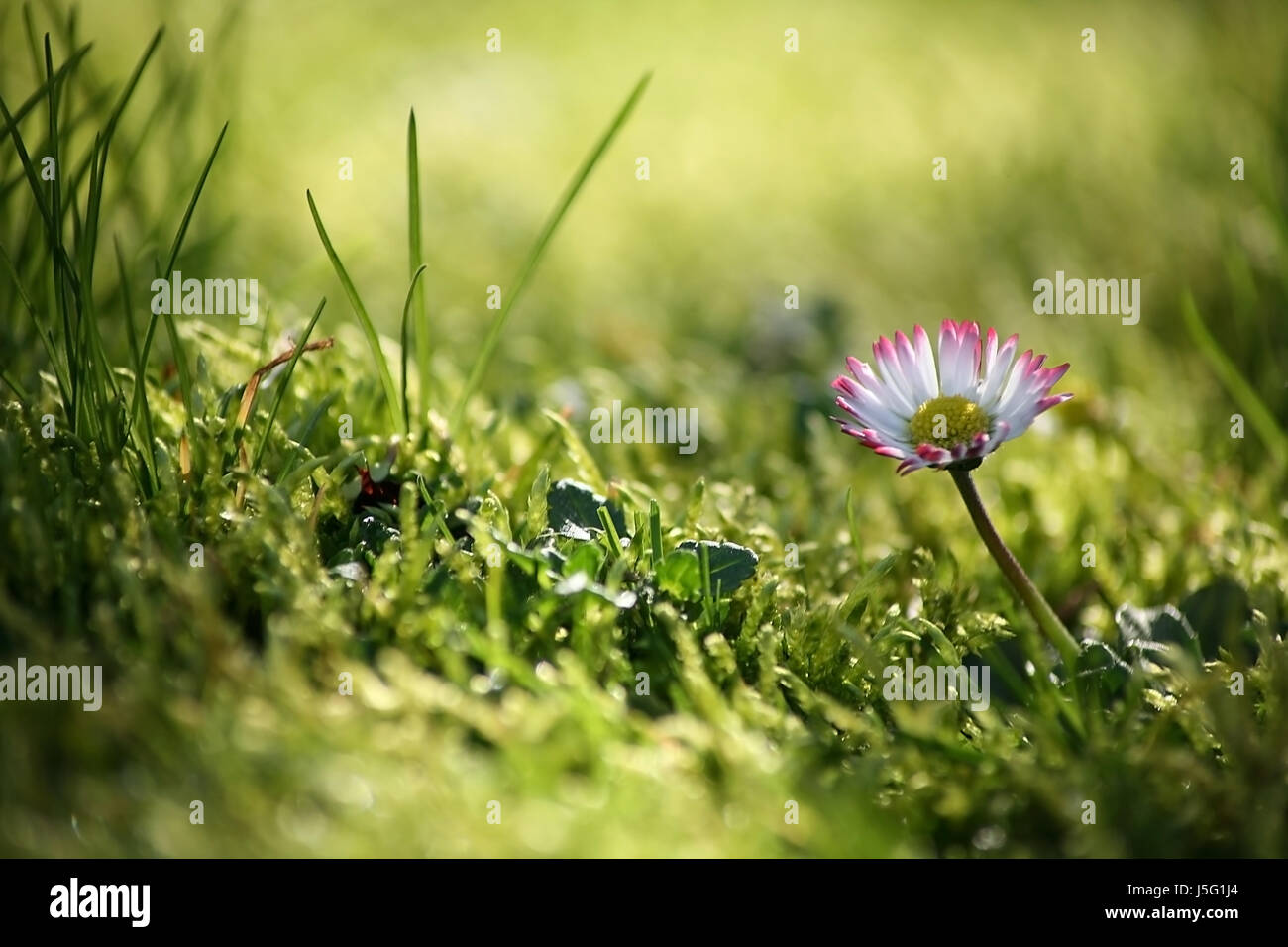 Ich kann es fühlen... Stockfoto