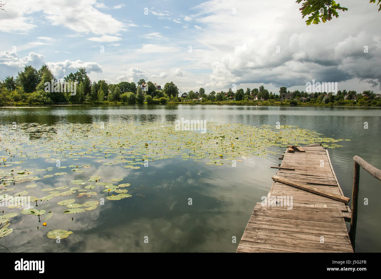 Teich mit gelben Hülsen in wechselhaftes Wetter Stockfoto