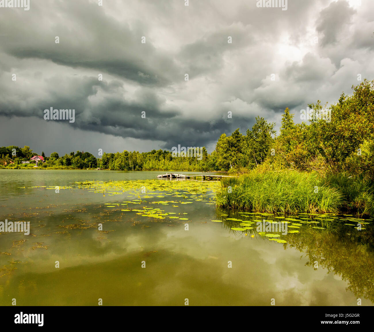 Teich mit gelben Hülsen in wechselhaftes Wetter Stockfoto