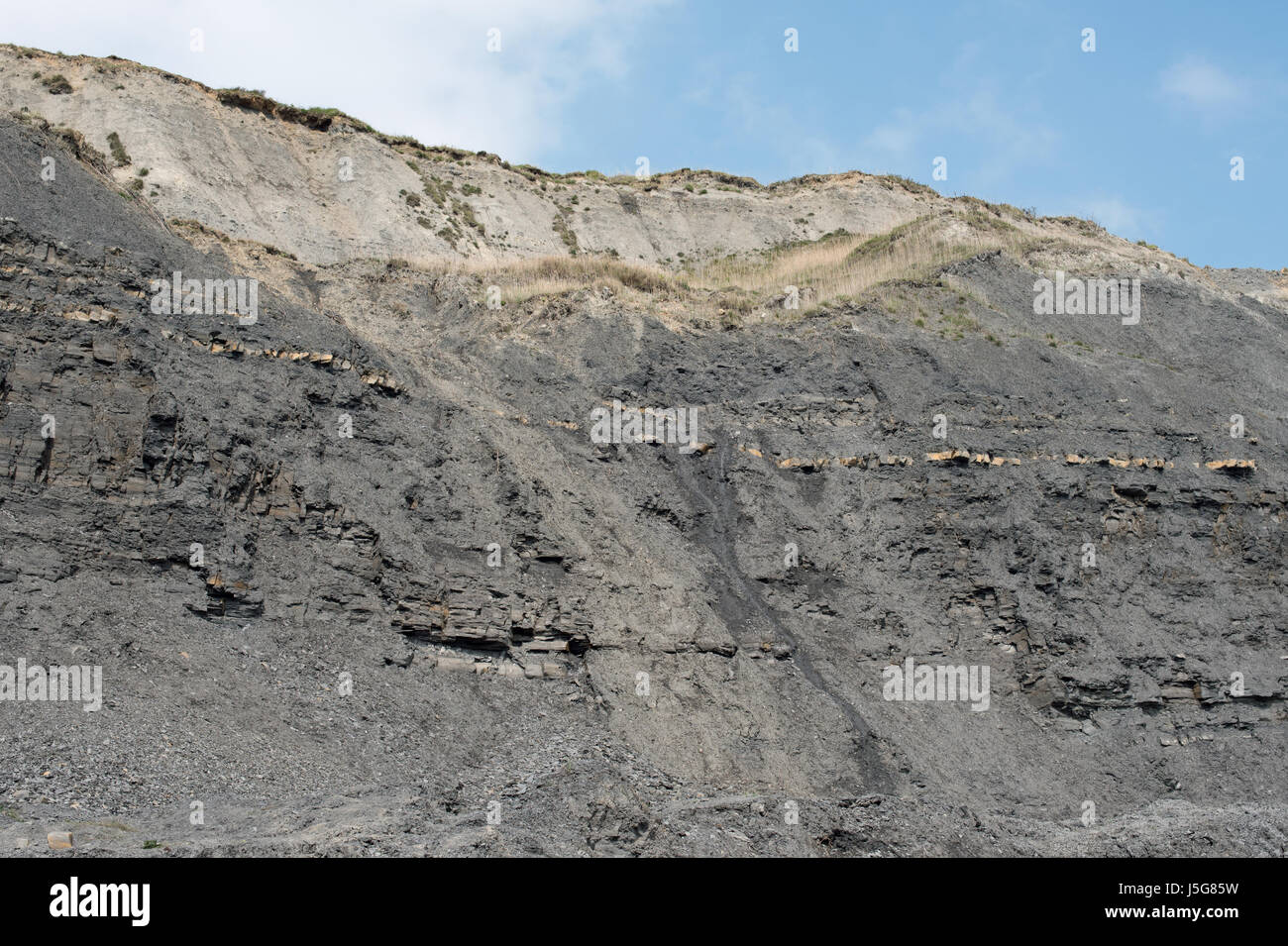 Fossil-angereicherten Klippen, Charmouth Stockfoto