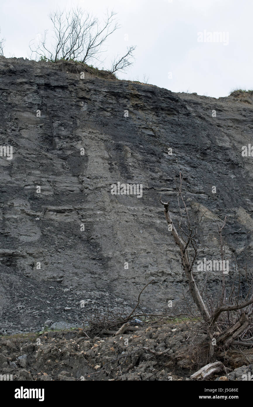 Fossil-angereicherten Klippen, Charmouth Stockfoto