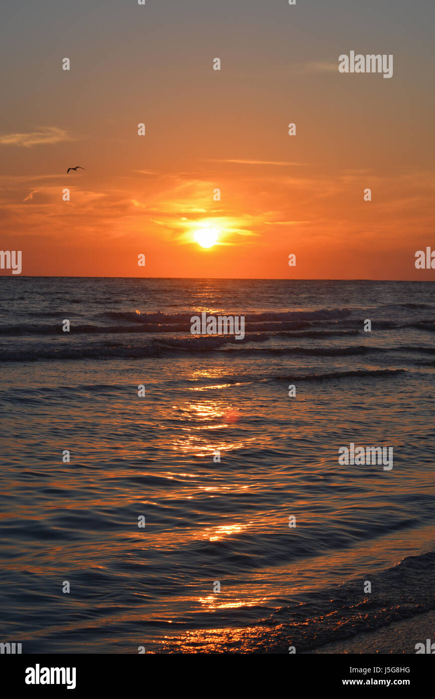 Herrlichen Sonnenuntergang am St. Pete Beach am Golf von Mexiko in Florida. Stockfoto