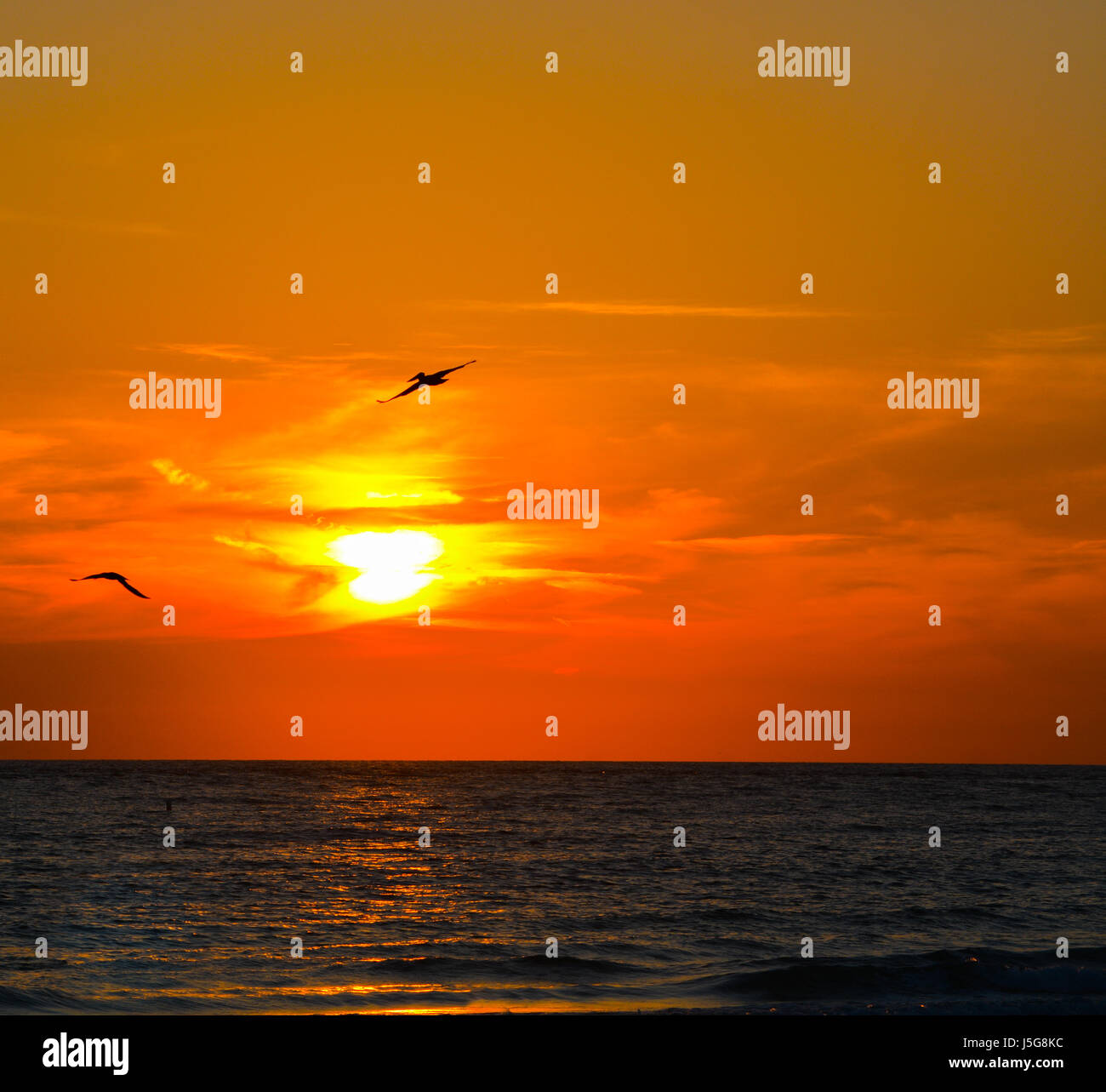 Herrlichen Sonnenuntergang am St. Pete Beach am Golf von Mexiko in Florida. Stockfoto