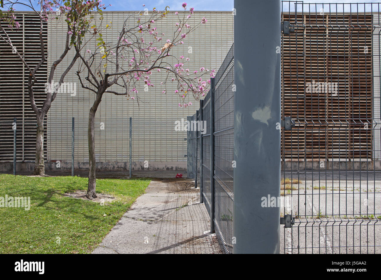 Sicherheitszaun Gebäude von LAX Bäume trennt Stockfoto