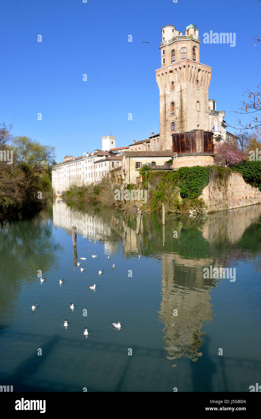 Galileo Galilei Sternwarte, La Specola Turm in Padua, Italien Stockfoto