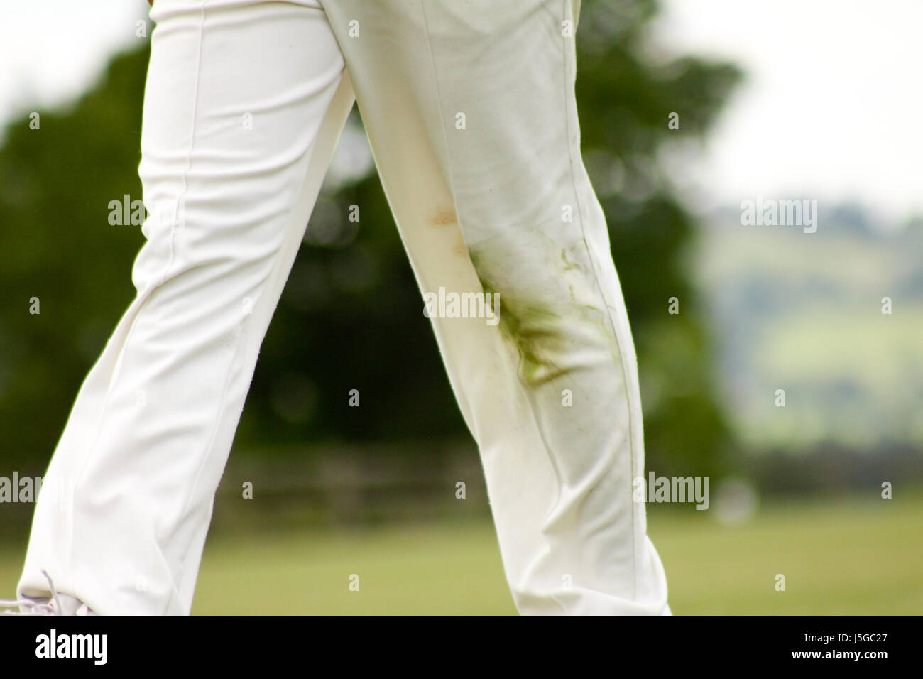 Englischer Cricketspieler Grass Flecken Hose Stockfoto