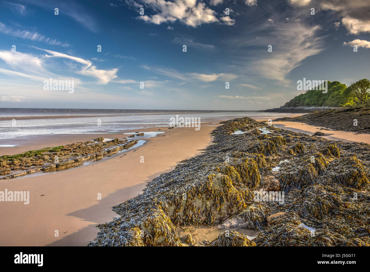 HDR-Bild auf den Strand und Algen bedeckt Gesteine sowie eine Wabe Wurm Riff bei Powillimount, Dumfries and Galloway, Schottland. Stockfoto