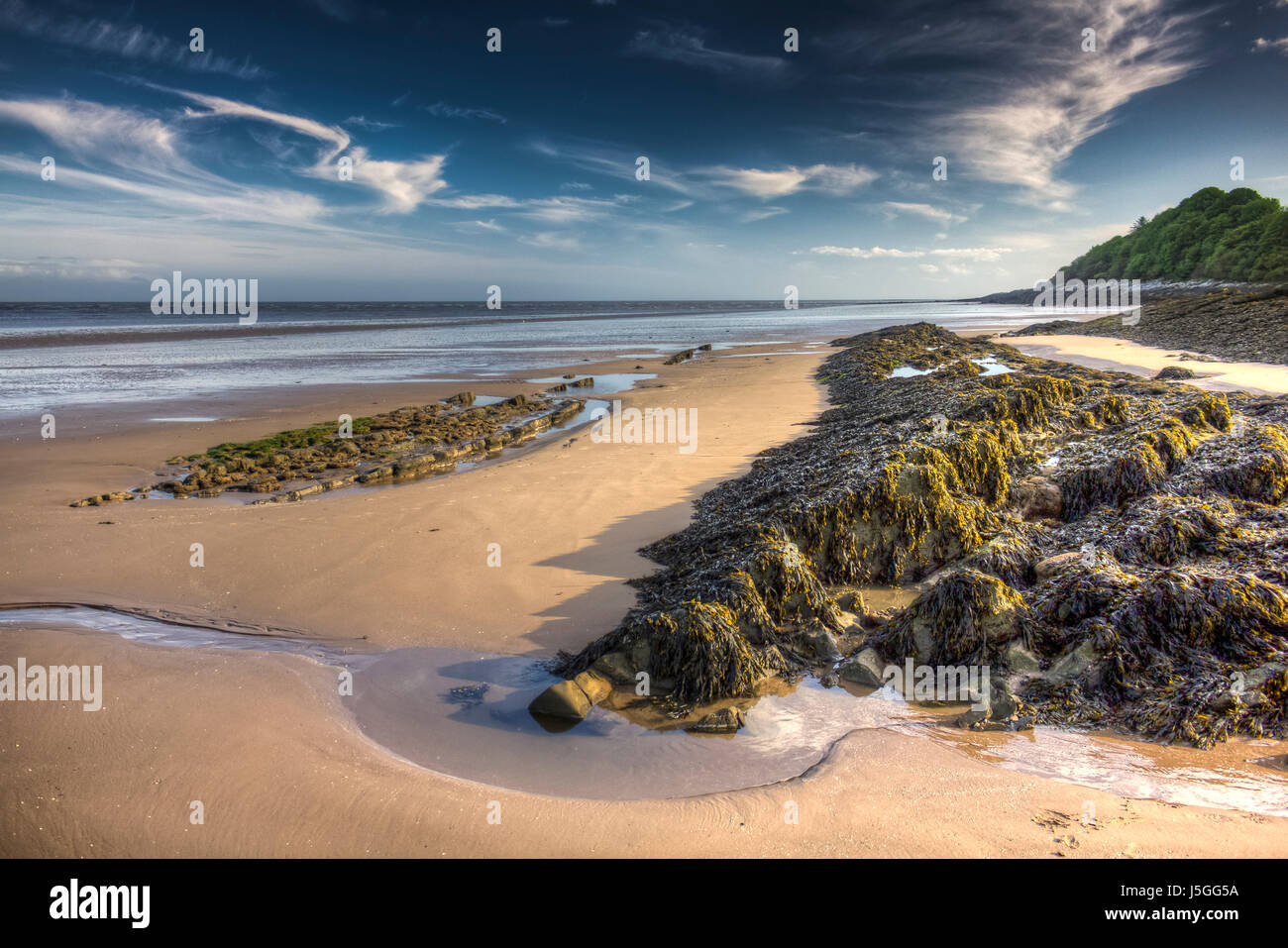 HDR-Bild Strand, Algen bedeckt und Waben Wurm Riff bei Powillimount, Dumfries and Galloway, Schottland. Stockfoto