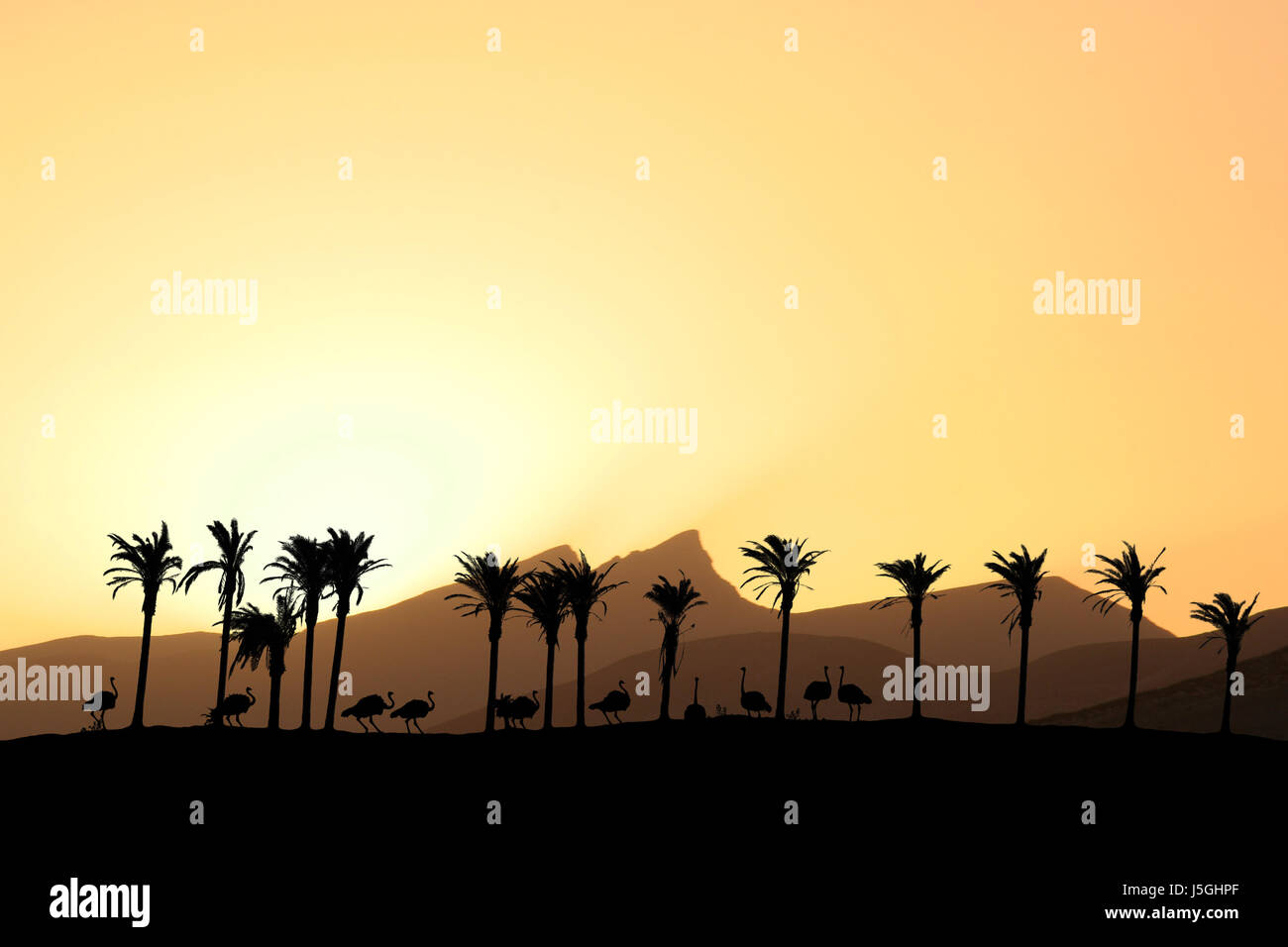 Sonnenland Stockfotos Und Bilder Kaufen Alamy Sonnenland Stockfotos Und Bilder Kaufen Alamy