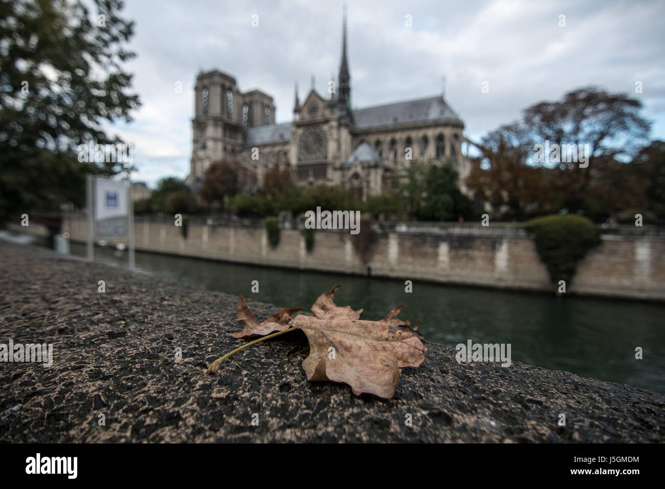 Herbst in Paris Stockfoto