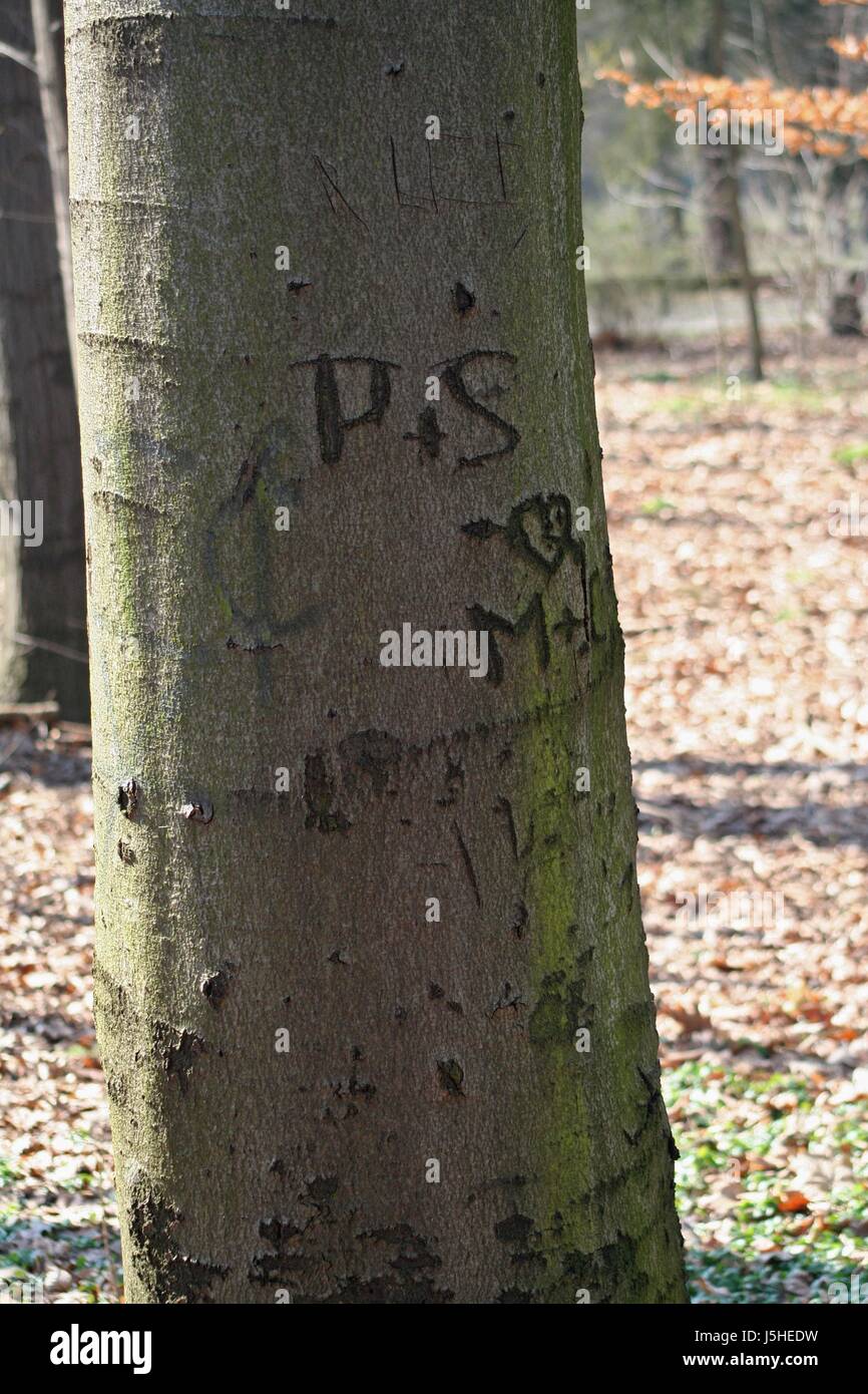 Zeichen, Signal geben Show Umwelt Enviroment Emotionen Baum Park public Stockfoto