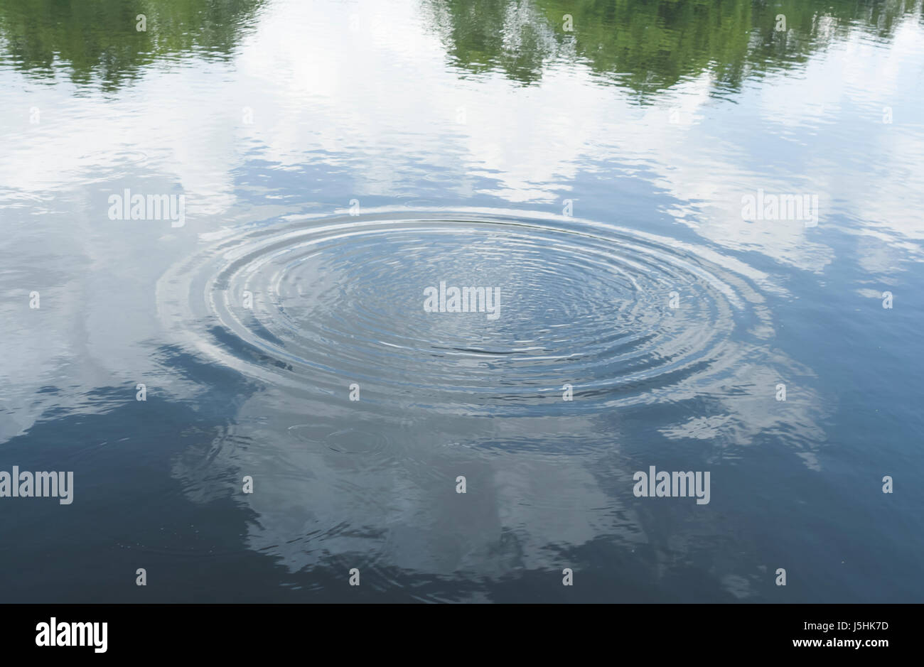 Wasser-Wellen in einem Teich.  Eine expansive Wirkung durch einen Stein ins Wasser werfen. Stockfoto