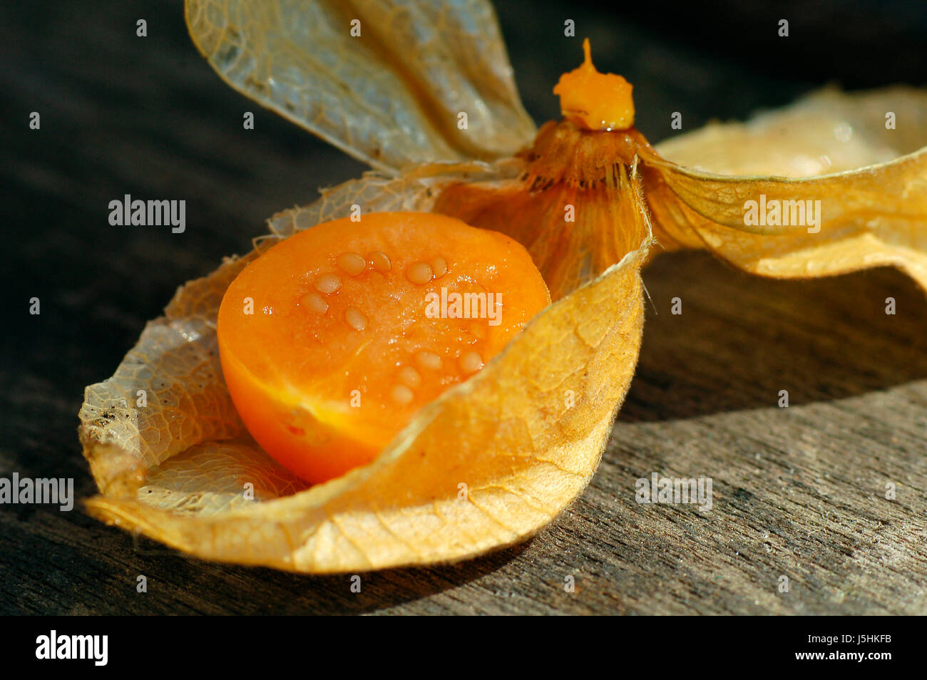 halbierte Physalis in lampion Stockfoto