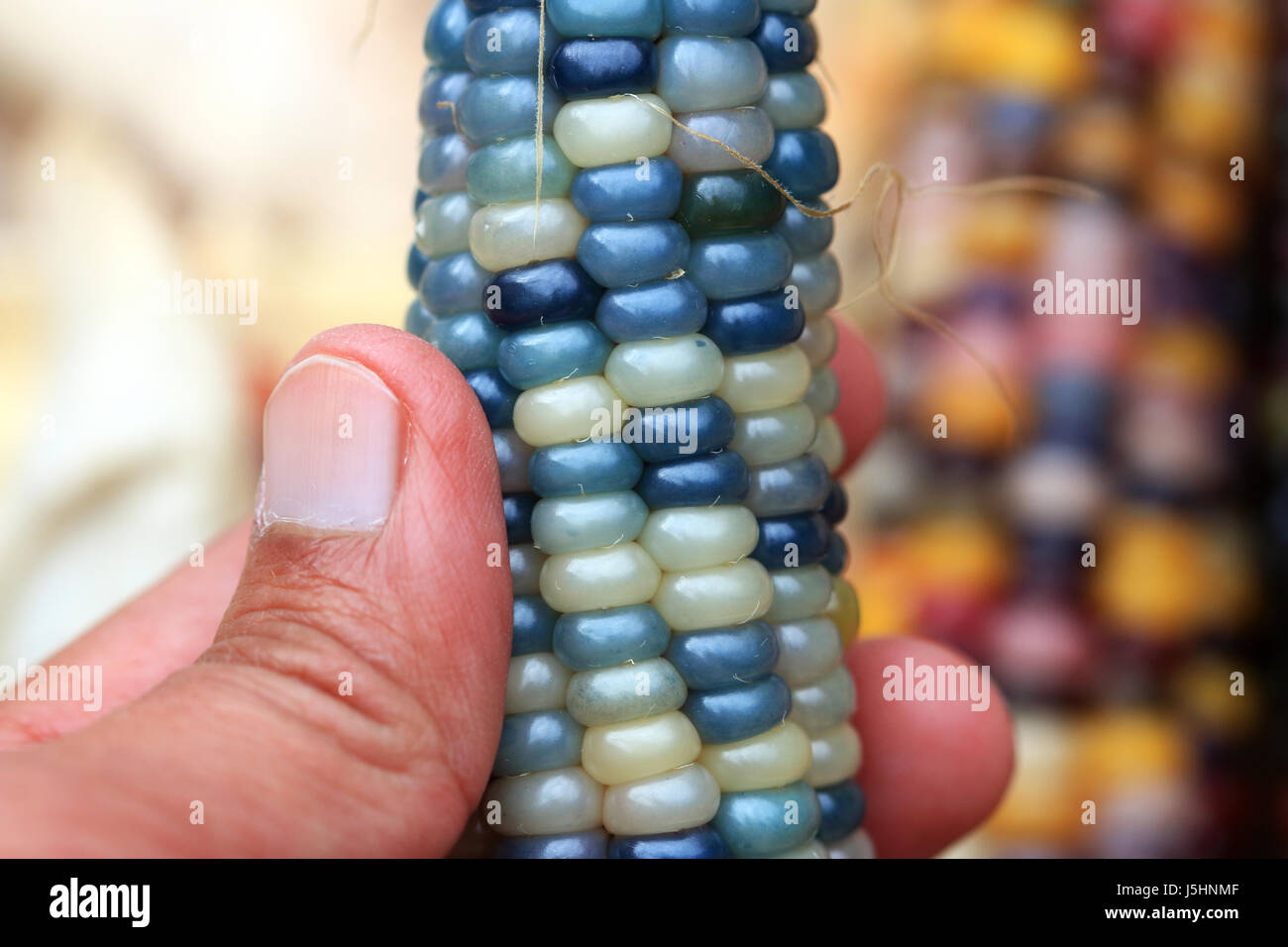 Nahaufnahme von Glas Juwel Mais Stockfoto