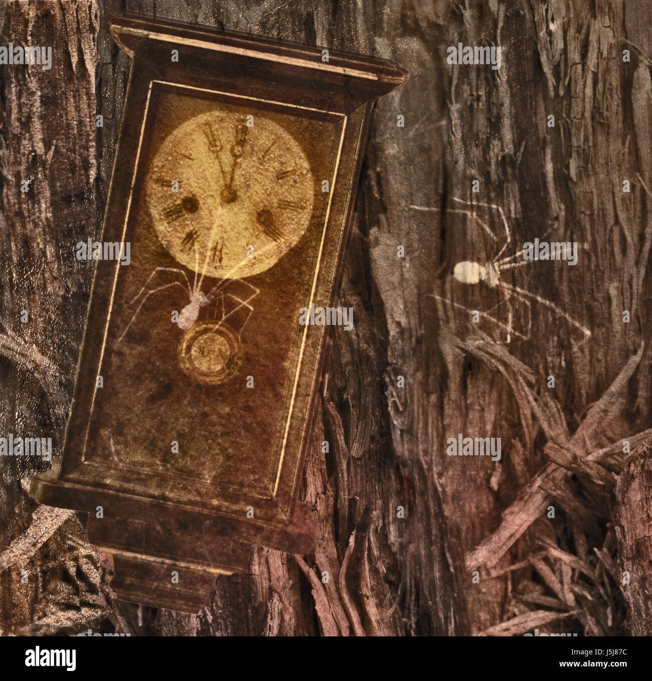 Holz, Uhr, Zeit, Spin, Rost, Jahre, vergitterten, alt, 5 Vor 12, Spinnenweben, Digiart Stockfoto