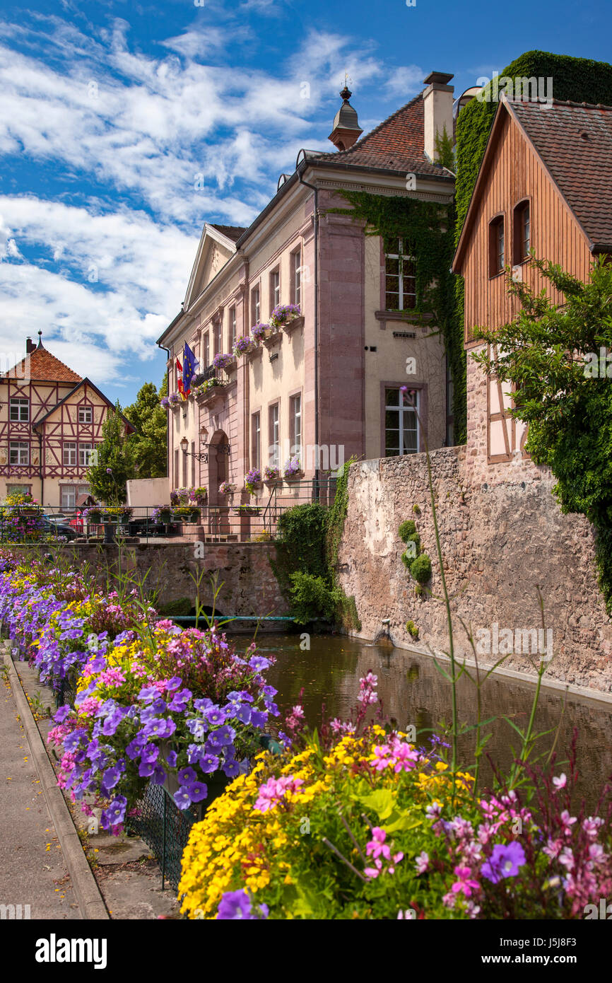 Blumen säumen den Gang mit dem Hotel de Ville (Marie) und der mittelalterlichen Stadt Riquewihr, Elsass, Frankreich Stockfoto
