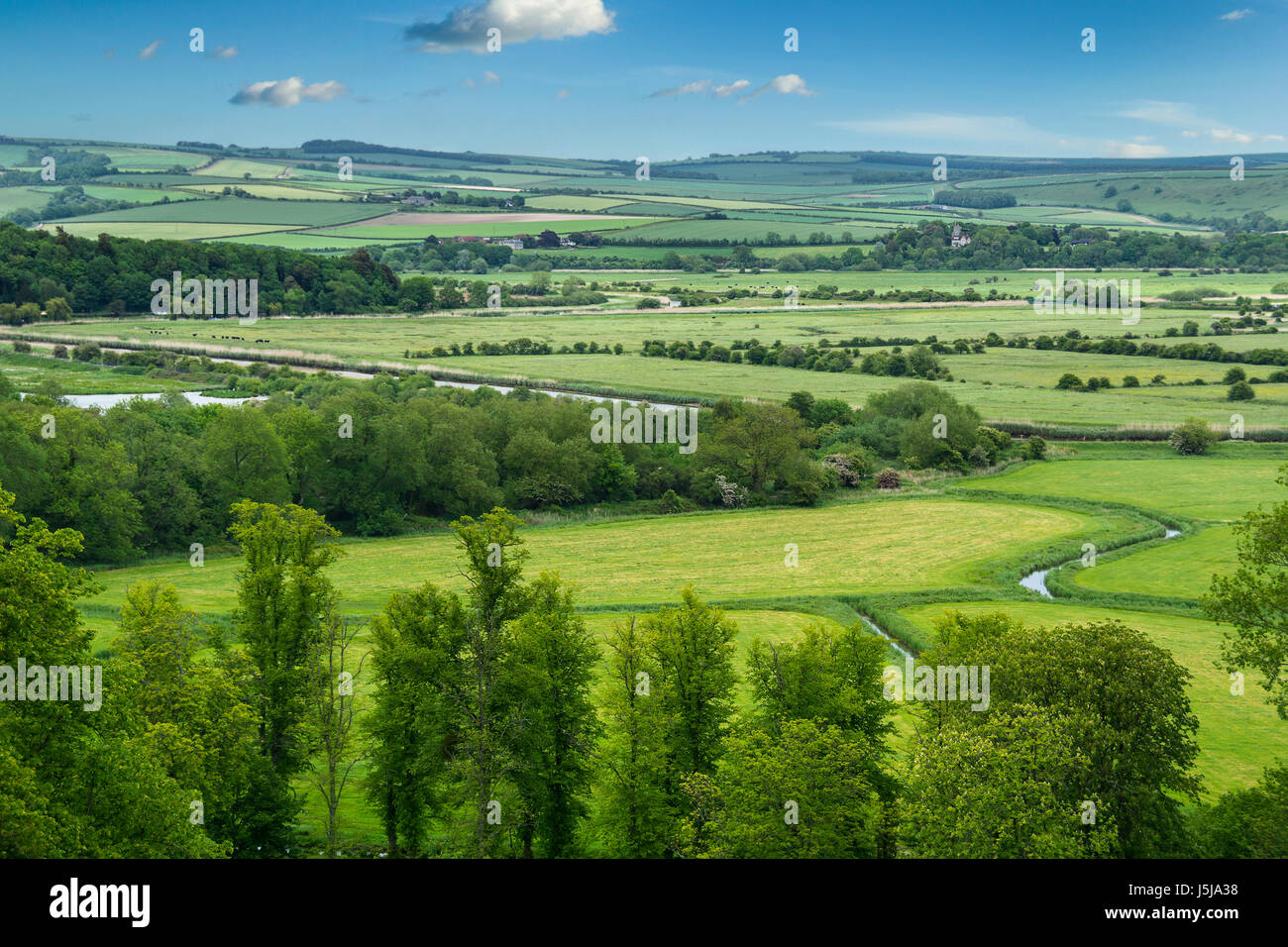 Grüne und gefällige Landschaft Stockfoto
