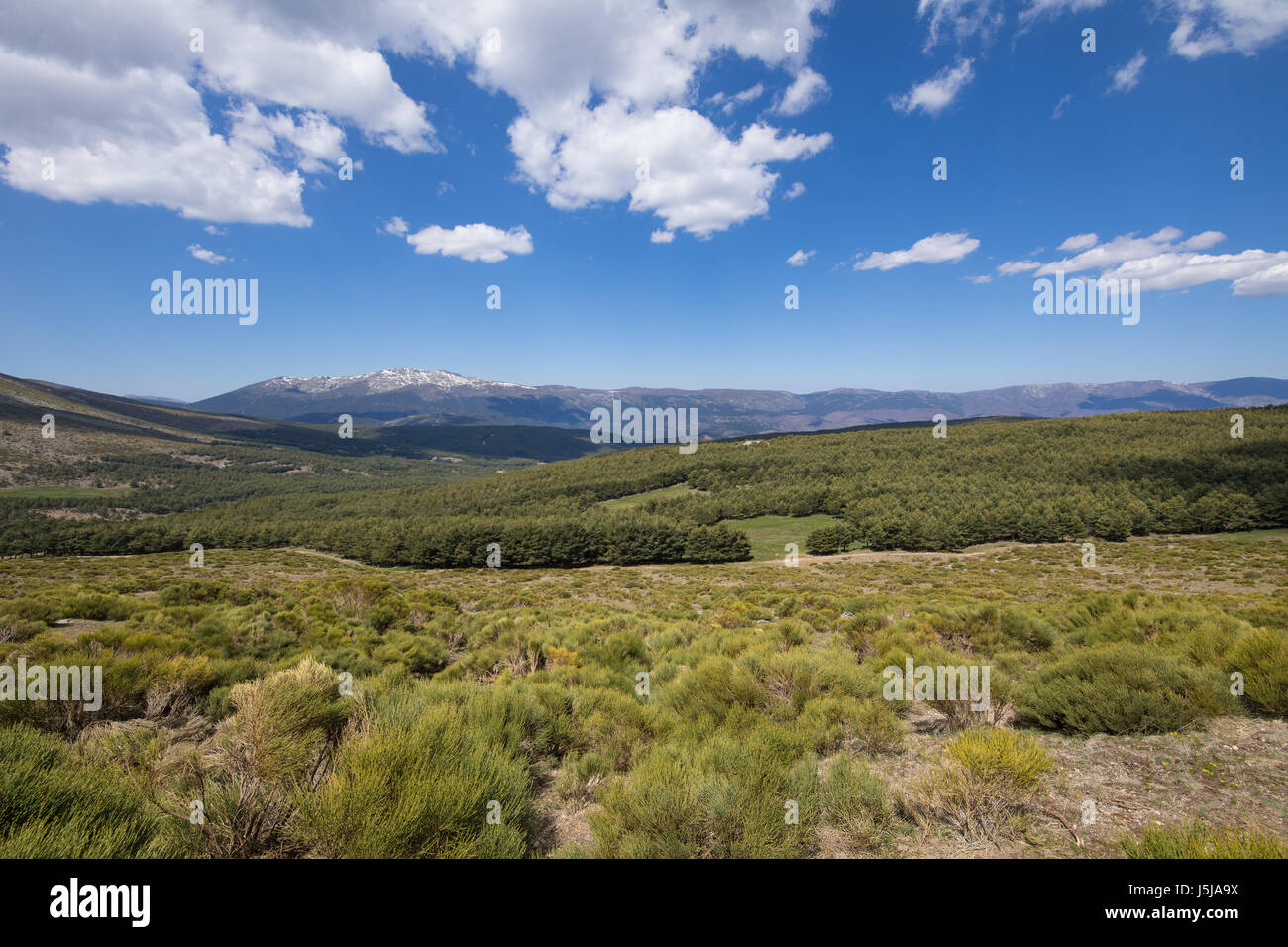 Landschaft, grüne Landschaft, Bäume, blauer Himmel und Wolken Lozoya Tal und Naturpark Sierra de Guadarrama, aus Morcuera Bergen, in Madrid, Spanien, Europ Stockfoto