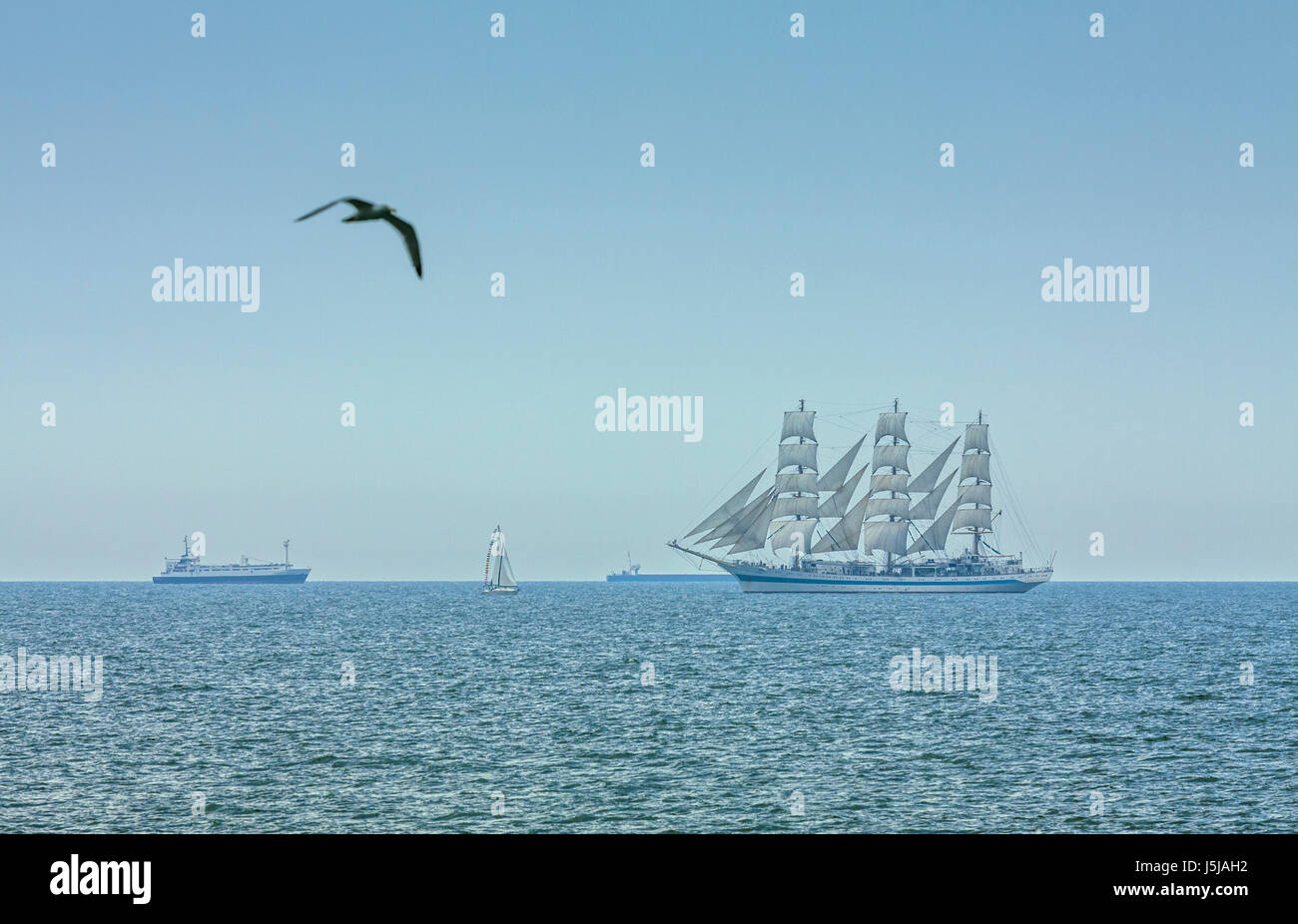 Seelandschaft mit fliegenden Möwe und drei Masten Großsegler in vollen Segeln am Schwarzen Meer am Horizont. Stockfoto