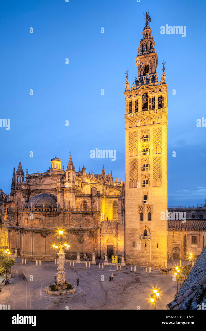 Giralda Turm und Dom in der Abenddämmerung, Sevilla, Spanien Stockfoto
