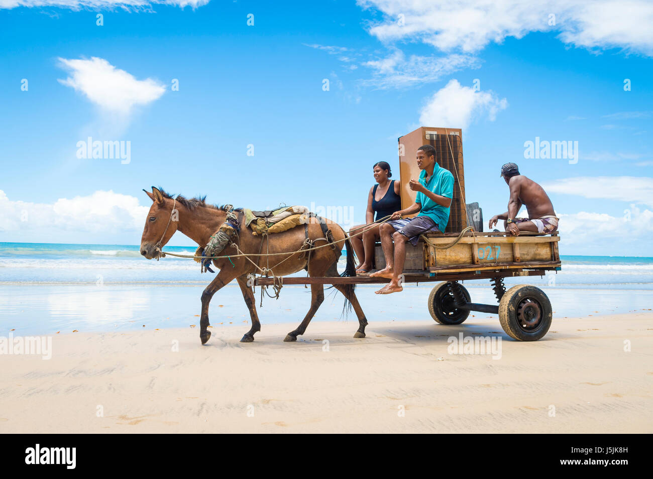 BAHIA, Brasilien - 11. März 2017: Ein Maultier zieht einen Karren, beladen mit einem Kühlschrank und zwei Personen reisen entlang des Ufers des nordöstlichen Strand. Stockfoto