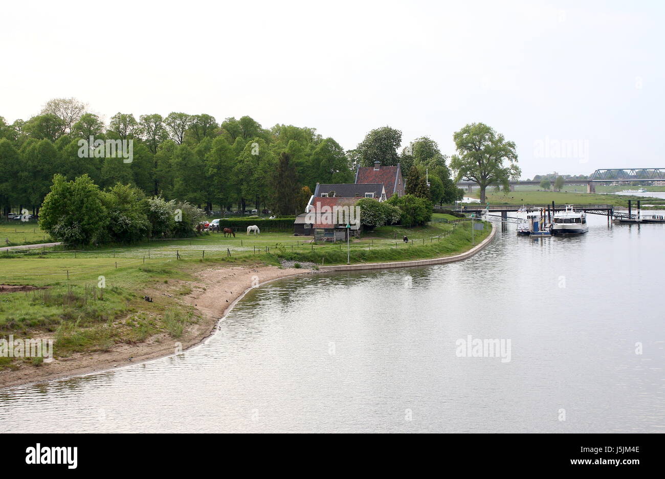 Deichvorland (UIterwaarden) des Flusses IJssel bei Deventer, Niederlande. Fährhaus bei der Bank gegenüber dem Stadtzentrum. Stockfoto