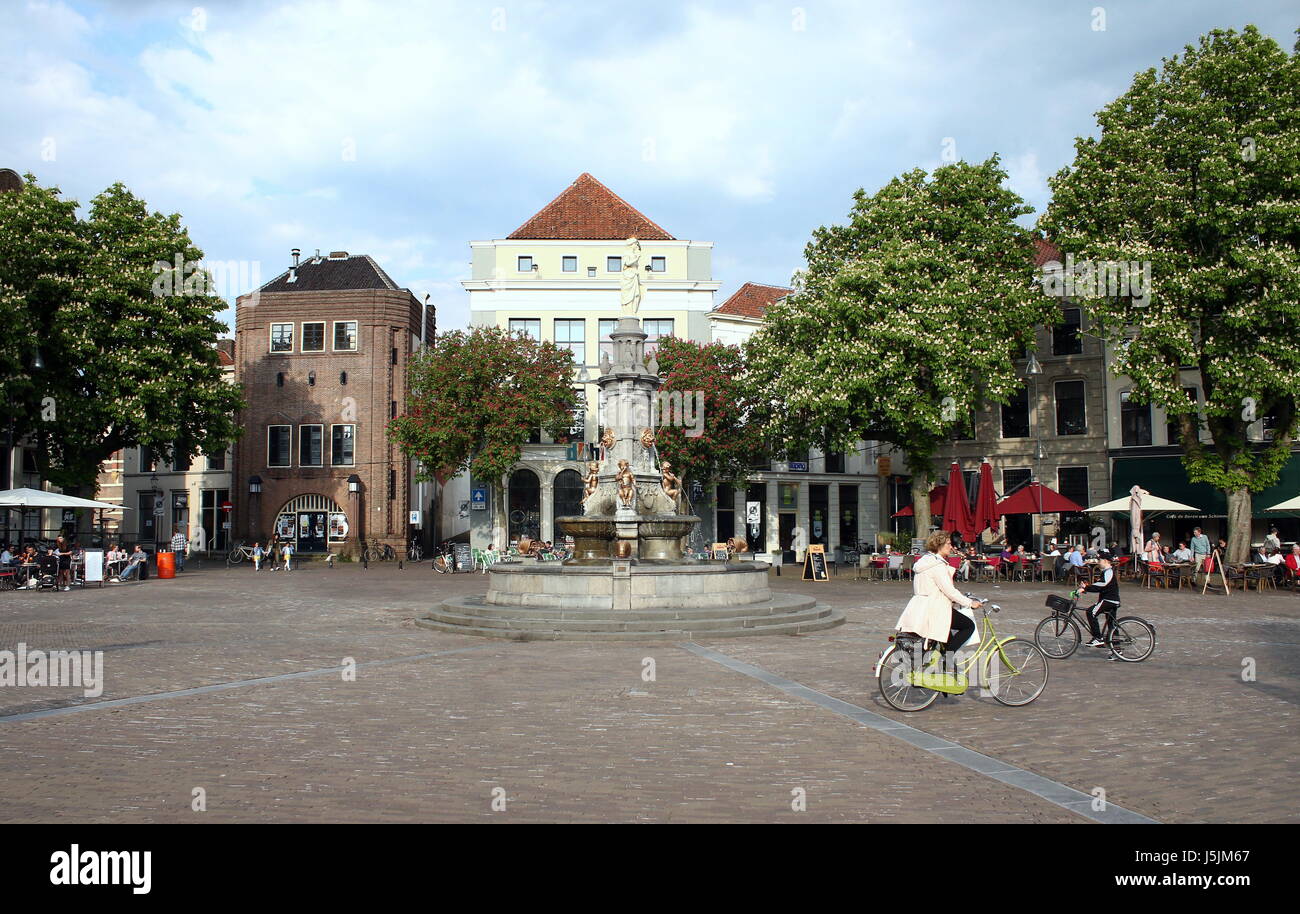 Kastanienbäume auf geräumigen Brink Hauptplatz in der alten Hansestadt Deventer, Niederlande. Stockfoto