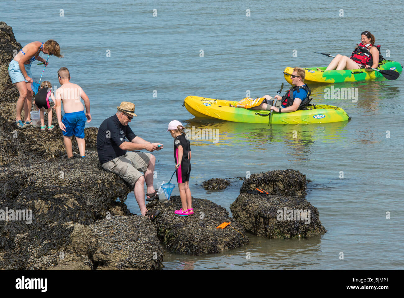 Menschen auf den Felsen am Meer an einem sonnigen Tag in Herne Bay, Kent. Die Familien sind auf der Suche nach Krabben in den Fels-Pools. Stockfoto