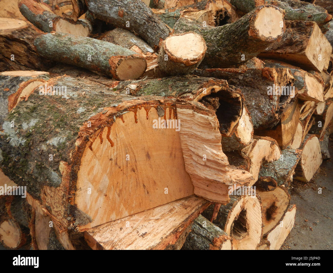 Dieser Eintrag bezieht sich auf verschiedene Infrastrukturelemente in Marilao, Bulacan, einschließlich Baranggays, Straßen, Hallen, und Feuerholz-Sammelstellen entlang der Autobahn. Das Gebiet spielt eine Rolle bei lokalen Verkehrsmitteln und Aktivitäten in der Gemeinde. Stockfoto