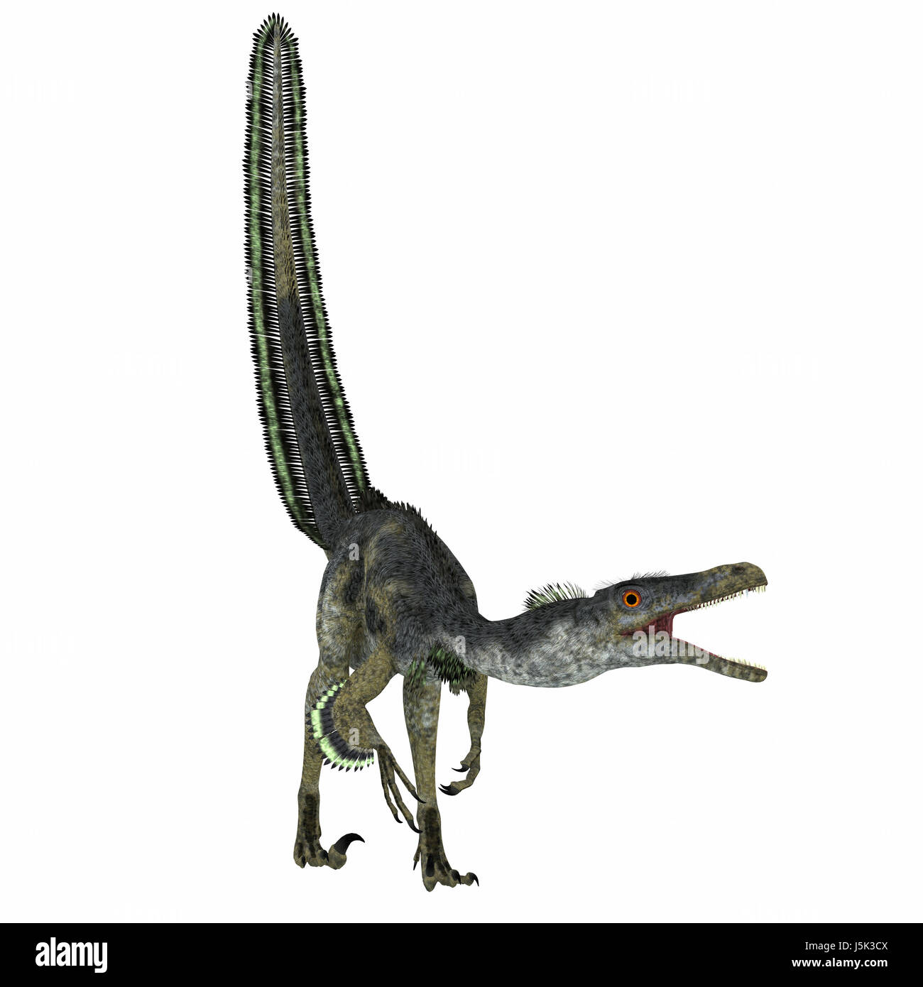 Velociraptor War Ein Fleischfressender Theropoder Dinosaurier Der