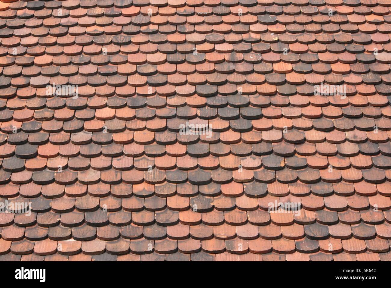 Hinterhof-Hövel Rost Scheune stabile Gürtelrose Fliesen locker stand auf dem Dach Schloss Stockfoto