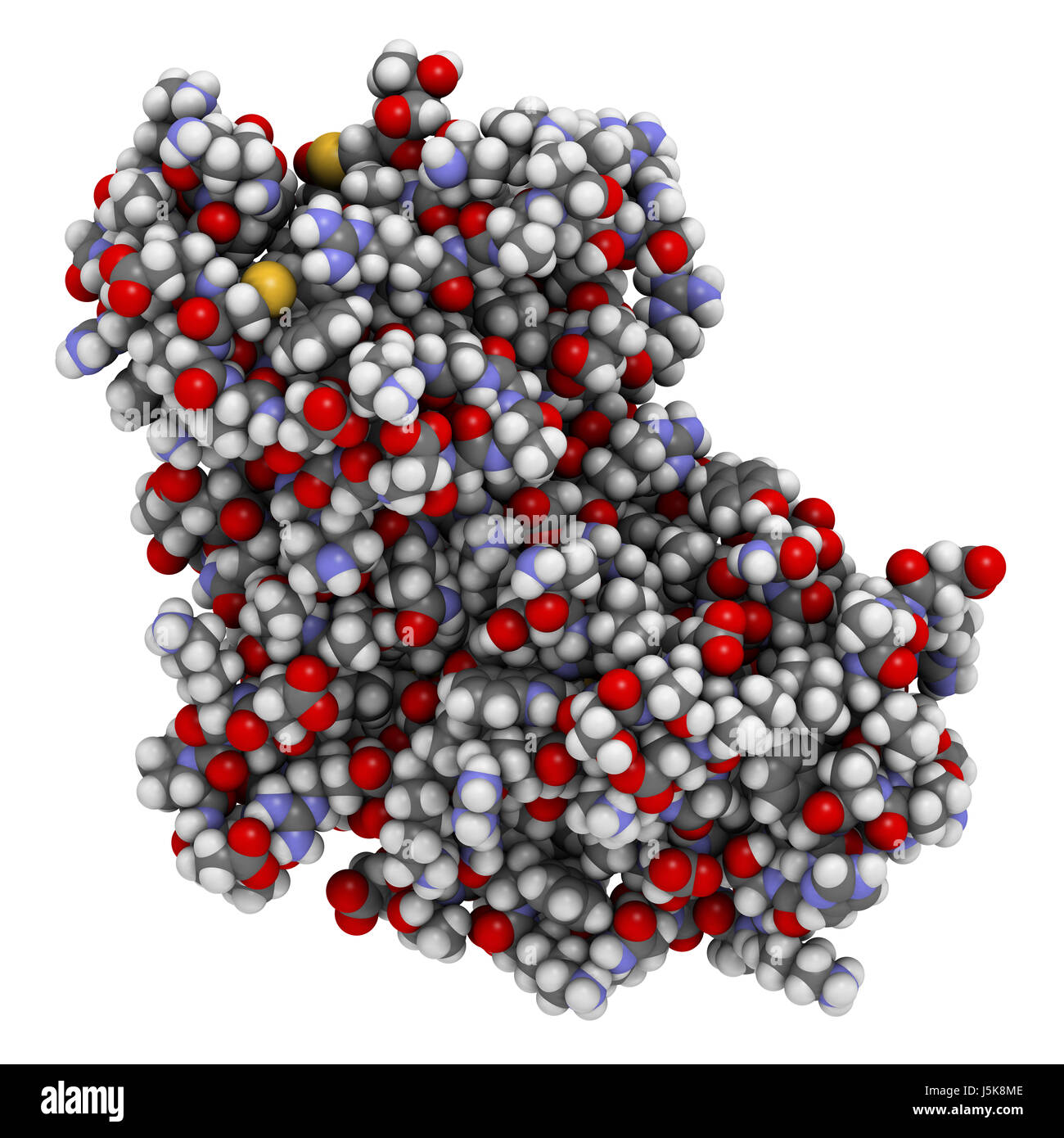 Cyclin-abhängige Kinase 6 (CDK6) verpflichtet, den Inhibitor Ribociclib. Enzym Zellzyklus Verordnung und Ziel mehrere antitumorale Drogen beteiligt. Stockfoto